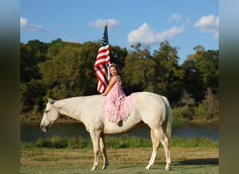 Caballo cuarto de milla, Yegua, 5 años, 147 cm, Palomino