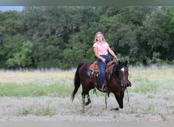 Caballo cuarto de milla, Yegua, 5 años, 152 cm, Castaño rojizo