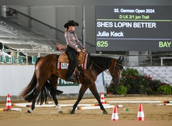 Caballo cuarto de milla, Yegua, 5 años, 160 cm, Castaño