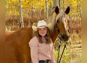 Caballo cuarto de milla, Yegua, 9 años, 150 cm, Palomino
