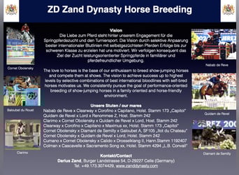 Caballo de Holstein, Caballo castrado, 3 años, 170 cm, Alazán