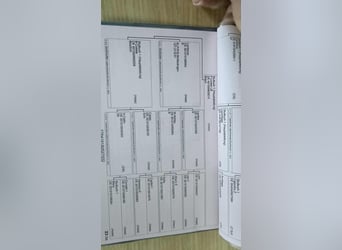 Caballo de salto Oldenburgo, Caballo castrado, 4 años, 169 cm, Castaño oscuro