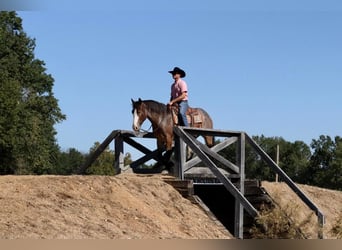 caballo de tiro Mestizo, Caballo castrado, 3 años, 160 cm, Castaño-ruano