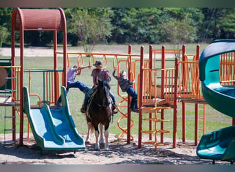 caballo de tiro Mestizo, Caballo castrado, 3 años, Pío