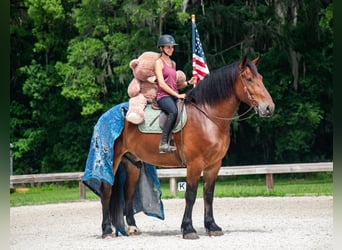 caballo de tiro Mestizo, Caballo castrado, 4 años, 183 cm, Castaño rojizo