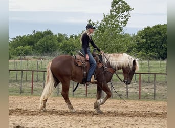 caballo de tiro Mestizo, Caballo castrado, 4 años, Alazán rojizo