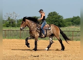 caballo de tiro Mestizo, Caballo castrado, 4 años, Castaño rojizo