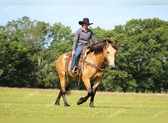 caballo de tiro Mestizo, Caballo castrado, 5 años, 155 cm, Buckskin/Bayo