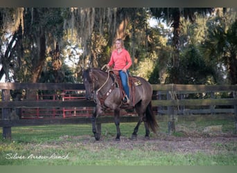 caballo de tiro Mestizo, Caballo castrado, 5 años, 160 cm, Grullo