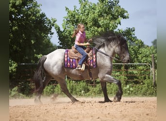 caballo de tiro Mestizo, Caballo castrado, 7 años, 168 cm, Ruano azulado