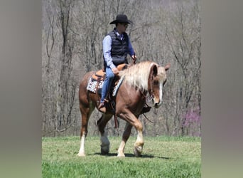 caballo de tiro, Caballo castrado, 7 años, Ruano alazán