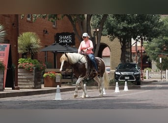 caballo de tiro, Caballo castrado, 8 años, 145 cm, Ruano alazán