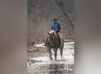 caballo de tiro, Caballo castrado, 8 años, 163 cm, Ruano alazán