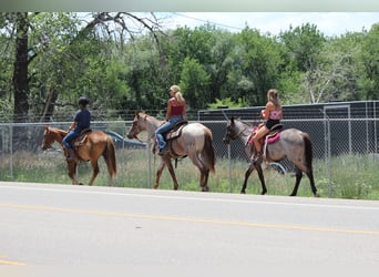 caballo de tiro, Yegua, 3 años, Ruano alazán