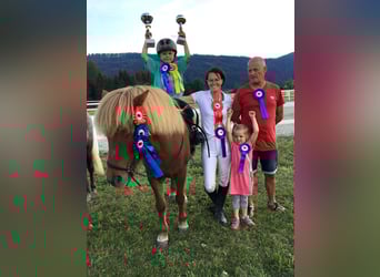 Caballos islandeses, Yegua, 16 años, 138 cm, Alazán