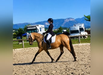Championne du Coussoul