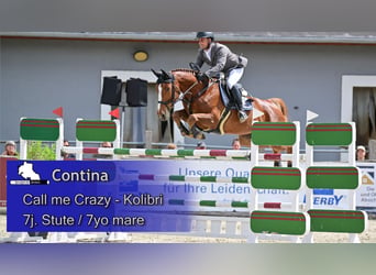 Cheval de sport allemand, Jument, 7 Ans, 168 cm, Alezan brûlé