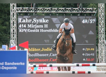 Cheval de sport allemand, Jument, 8 Ans, 170 cm, Alezan