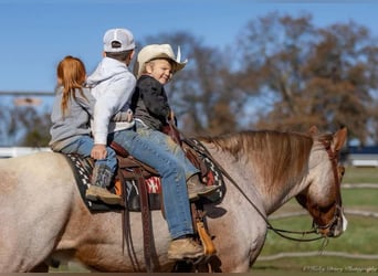 Cheval de trait Croisé, Hongre, 12 Ans, 163 cm, Rouan Rouge