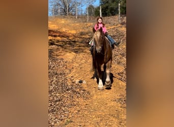 Cheval de trait, Hongre, 12 Ans, 178 cm, Alezan cuivré