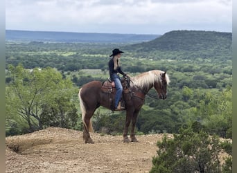 Cheval de trait Croisé, Hongre, 4 Ans, Alezan cuivré