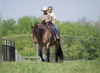 Cheval de trait Croisé, Hongre, 5 Ans, 163 cm, Rouan Rouge