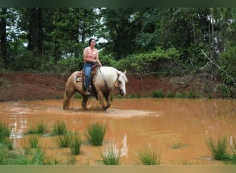 Cheval de trait, Jument, 10 Ans, 155 cm, Palomino