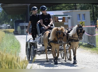 Classic Pony Mix, Merrie, 9 Jaar, 105 cm, Vos