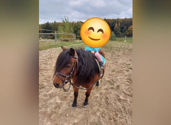 Classic Pony, Stute, 9 Jahre, 107 cm, Brauner