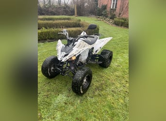 Yamaha Raptor 250