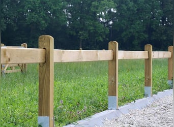Dressage arena | Wooden arena fencing | Dressage square