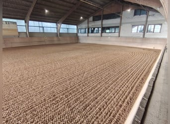 Riding arena / Indoor arena surface