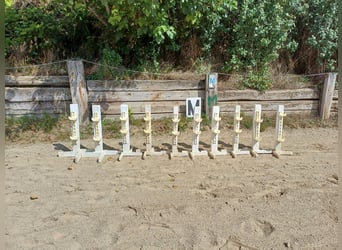 Hindernissteher 