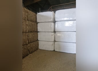 Compressed straw in foil-wrapped square bales, fibers up to 20 mm in length