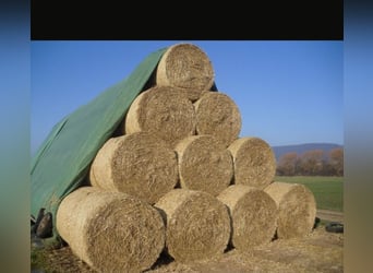 Round bale straw from 2025