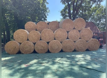 Very good barley straw available in 1.40 m or 1.30 m round bales.