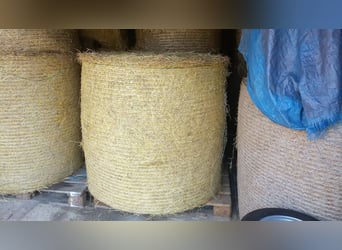 Hay round bales, hay bales, round bale hay, hay bale transport