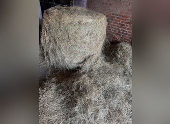 Hay, silage, and wrapping hay – premium feed from our own boarding stable