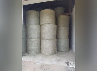 Hay – Straw – Silage Bales – Alfalfa