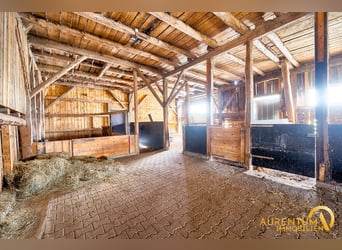 Ein Juwel für Pferdeliebhaber - in idyllischer Lage - mit 3 Wohnungen, Reitplatz und Nebengebäuden!