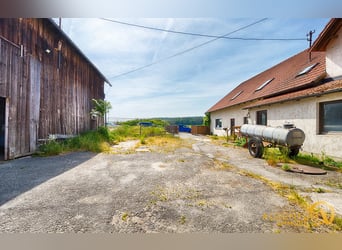 Ein Juwel für Pferdeliebhaber - in idyllischer Lage - mit 3 Wohnungen, Reitplatz und Nebengebäuden!