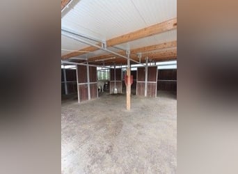 Große Reitanlage in idyllischer Alleinlage mit exklusivem Wohnhaus und mehreren Ferienhäusern