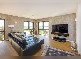 Kleine hochwertige Reitanlage mit exklusiver, energetischer und neuwertiger Luxus-Villa