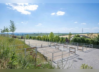 Kleine hochwertige Reitanlage mit exklusiver, energetischer und neuwertiger Luxus-Villa