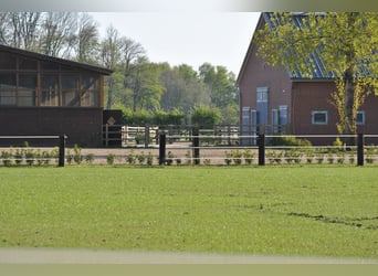 Nähe Vechta !  Geniale Reitanlage in traumhafter Alleinlage mit ca. 7 Hektar   **Provisionsfrei**