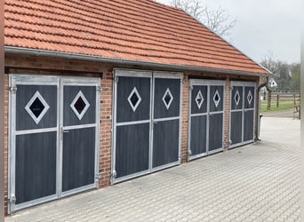 Nähe Vechta !  Geniale Reitanlage in traumhafter Alleinlage mit ca. 7 Hektar   **Provisionsfrei**
