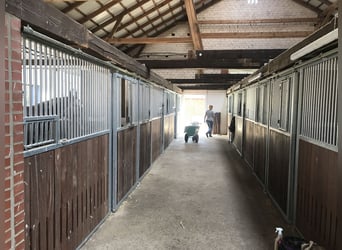 Nähe Vechta !  Geniale Reitanlage in traumhafter Alleinlage mit ca. 7 Hektar   **Provisionsfrei**