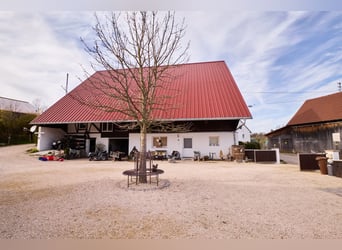 Traumhafter Pferdehof mit exklusiven Annehmlichkeiten