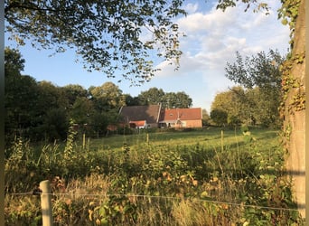 Traumhaftes Anwesen mit 3 Wohnhäusern in Ostfriesland