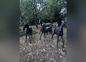 Exclusive bronze horse group (set of 4)